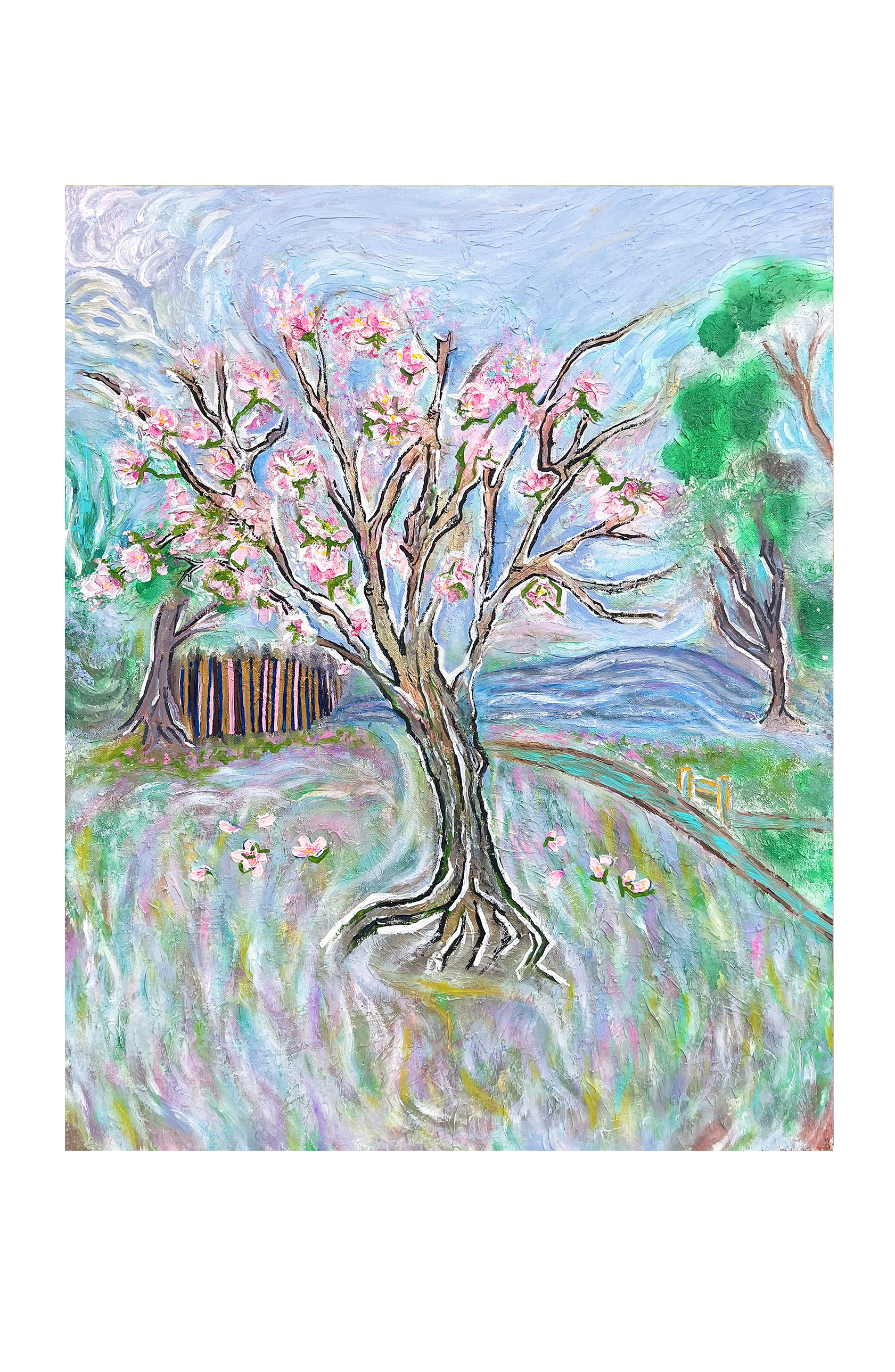 Tranquility With Cherry Blossoms